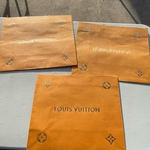 Louis Vuitton shopping bags (3)